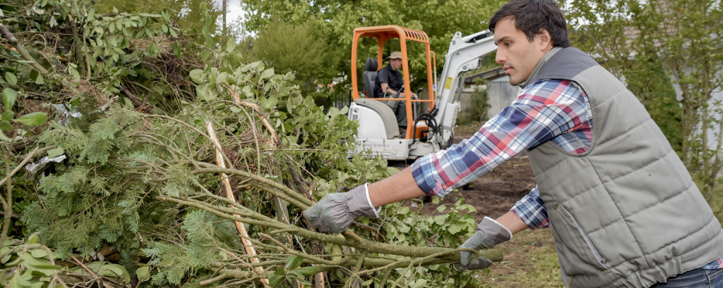 Tree services contractor moves cut branches