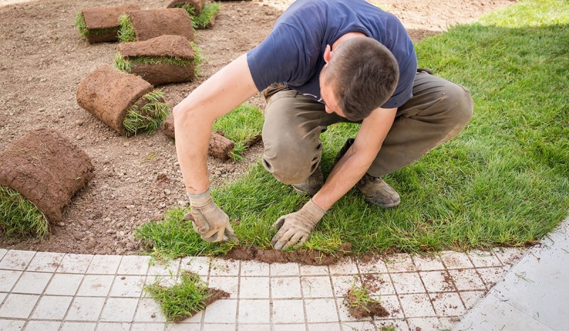 Lawn care business owner working on a customer’s lawn